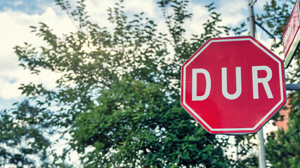 Road sign DUR in Turkish. It translates as the international traffic sign STOP.