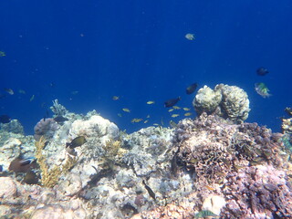 インドネシア　ムンジャンガン島の海