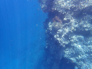 Obraz premium インドネシア ムンジャンガン島の海