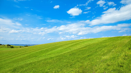 Obraz premium green meadow with a blue sky