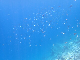 インドネシア　ムンジャンガン島の海