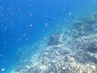 インドネシア　ムンジャンガン島の海