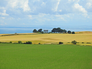 Alone home field and blue sky creal 