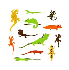 Set of different color wild lizards, chameleons and other animals reptiles.