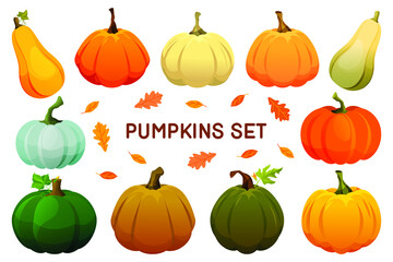 Decorative pumpkin set. Colorful gourd icons for Halloween or Thanksgiving card, banner decoration. Realistic autumn or fall elements for harvest festival, vegetable decor.