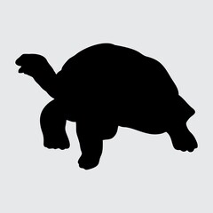 Turtle Silhouette, Turtle Isolated On White Background