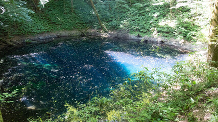 water in the forest