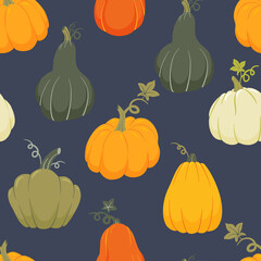 Colorful pumpkins of various shapes seamless pattern. Thanksgiving and Halloween autumn background. Cartoon vector fall texture.