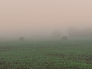 Łąka skryta w porannej mgle.