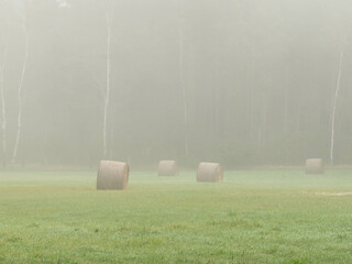 Łąka skryta w porannej mgle. © boguslavus