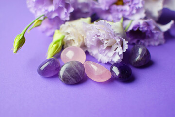 Obraz na płótnie Canvas Beautiful violet eustoma flowers (lisianthus) in full bloom with natural stones amethyst and rose quartz. Flowers and semi-precious stones on a purple background.