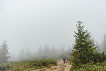 Fototapeta na wymiar Fog covering the mountain forests