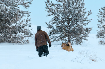 Defocused winter background. Man and his dog are walking through the snowdrifts during a snowfall.