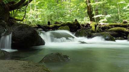 waterfall in the jungle