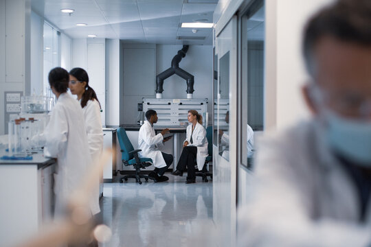 Female scientist discussing results of experiment with male colleague