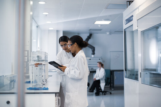 Female scientists discussing results of experiment