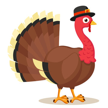 Turkey bird in a hat side view. Thanksgiving Day
