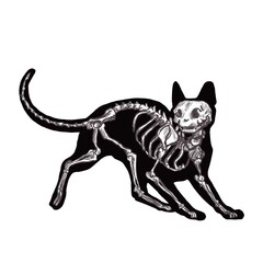 halloween black cat skeleton silhouette