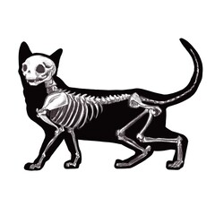 halloween black cat skeleton silhouette