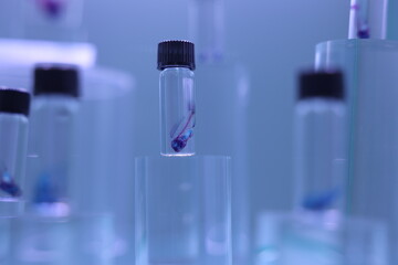 カワハギのホルマリン漬け