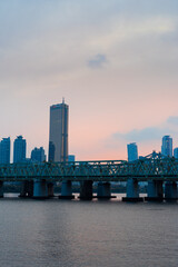 Fototapeta premium 63빌딩과 한강, 노들섬에서 바라본 전망