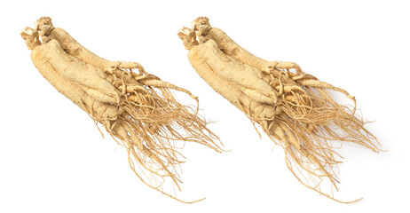 Dried Chinese Ginseng isolated on white background, top view