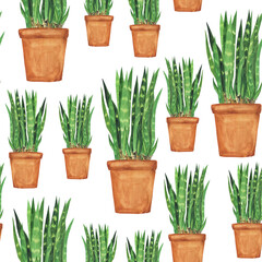 Potted Sansevieria trifasciata in seamless pattern on white background. Watercolor hand drawing illustration. Snake plant or mother’s in law tongue.