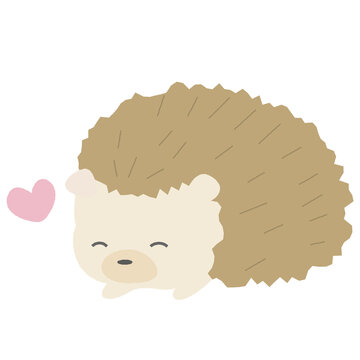 1 109 Best ハリネズミ Images Stock Photos Vectors Adobe Stock