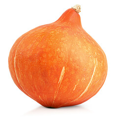 one whole pumpkin on white isolated background