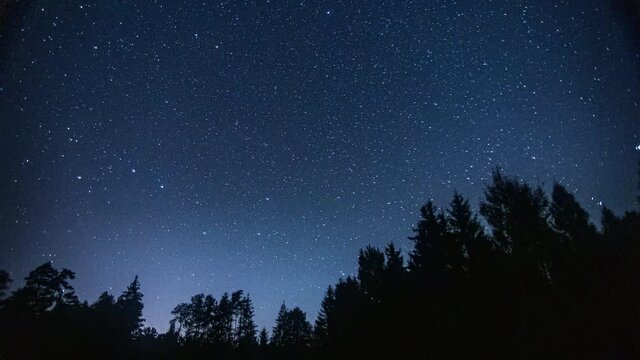 Starry sky over forest. Panning motion time lapse.