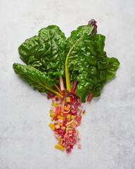 chopped stems of colored Swiss chard on a grey background, ingredients for pickling