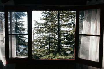 Open window frame with the view on beautiful forrest