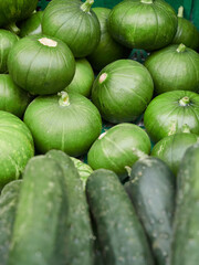 freshly harvested green round squash and cucumber