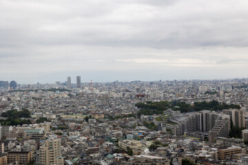 Fototapeta premium キャロットタワーから見た世田谷区