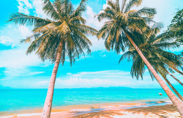 Obraz na płótnie Canvas A beautiful beach on a tropical Island.