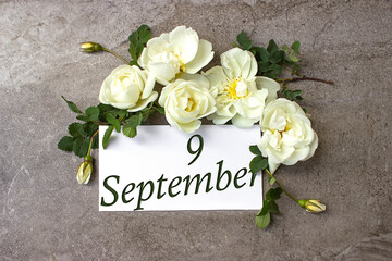 September 9th. Day 9 of month, Calendar date. White roses border on pastel grey background with...