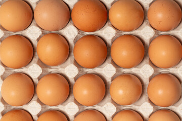 Group of raw brown eggs. Top view.