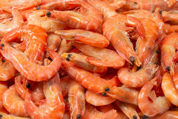Shrimps background texture. A lot of shrimps. Cooked shrimps.