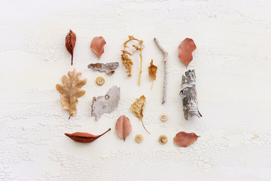 Top view image of autumn forest natural composition over wooden white background .Flat lay