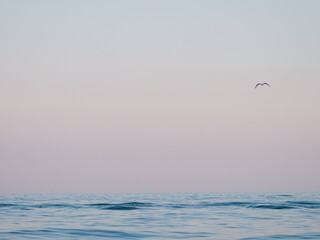 Beautiful summer sea backgroud. Waves.