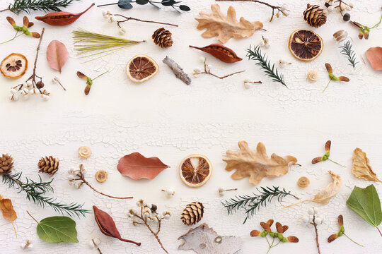 Top view image of autumn forest natural composition over wooden white background .Flat lay. Banner