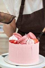 Woman pastry chef decorates pink cake with macaroons and berries, close-up. Cake making process,...