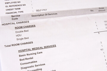 A hospital bill showing itemized charges for medical services used during hospitalization. A...