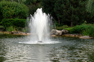 Bright light fountain in the lake against the background of trees © leanna