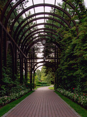 Beautiful romantic arched tunnel in the city park