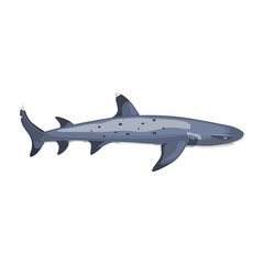 Reef shark isolated on white background. Cartoon character of ocean for children.