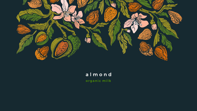 Almond texture template Vector tree Floral border