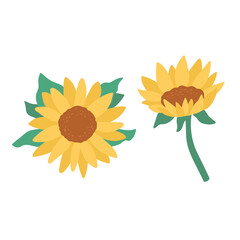 Cute doodle vector illustration of sunflowers. Top view isolated on white background. Doodle cartoon hand drawn illustration. Floral botanical artwork