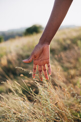 A hand of a black young woman nature summer autumn unity concept human eco