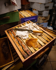 a close look inside a beekeeper's world